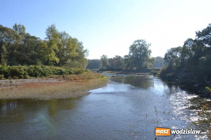 Zdjęcie w galerii na portalu naszwodzislaw.com: Kajaki i pontony do hangarów, czyli finał wodniackiego sezonu na górnej Odrze wiadomości z regionu