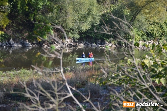 Zdjęcie w galerii na portalu naszwodzislaw.com: Kajaki i pontony do hangarów, czyli finał wodniackiego sezonu na górnej Odrze wiadomości z regionu