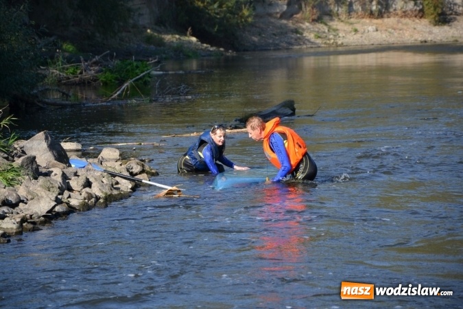 Zdjęcie w galerii na portalu naszwodzislaw.com: Kajaki i pontony do hangarów, czyli finał wodniackiego sezonu na górnej Odrze wiadomości z regionu
