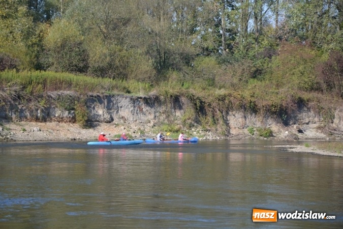 Zdjęcie w galerii na portalu naszwodzislaw.com: Kajaki i pontony do hangarów, czyli finał wodniackiego sezonu na górnej Odrze wiadomości z regionu