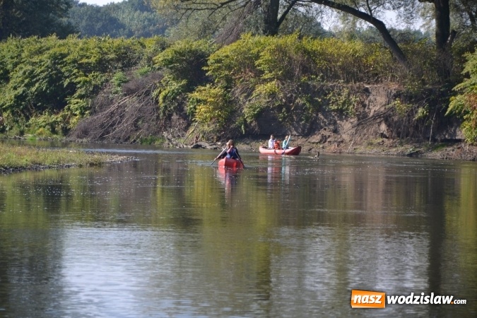 Zdjęcie w galerii na portalu naszwodzislaw.com: Kajaki i pontony do hangarów, czyli finał wodniackiego sezonu na górnej Odrze wiadomości z regionu