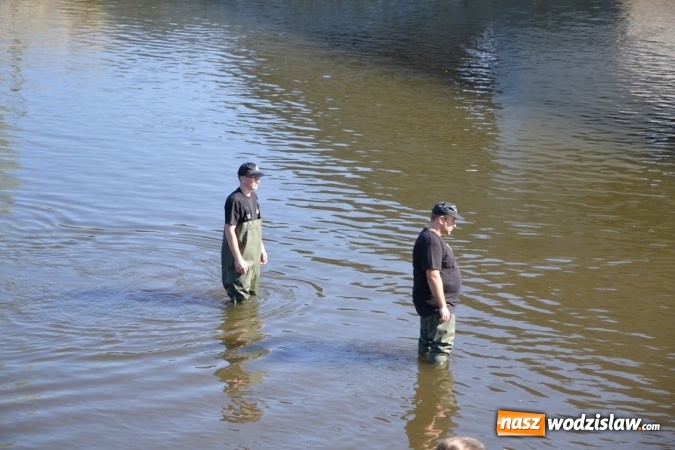 Zdjęcie w galerii na portalu naszwodzislaw.com: Kajaki i pontony do hangarów, czyli finał wodniackiego sezonu na górnej Odrze wiadomości z regionu