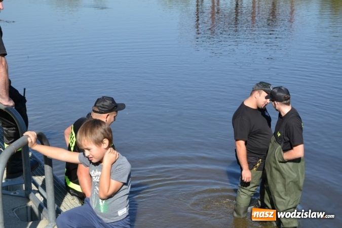 Zdjęcie w galerii na portalu naszwodzislaw.com: Kajaki i pontony do hangarów, czyli finał wodniackiego sezonu na górnej Odrze wiadomości z regionu