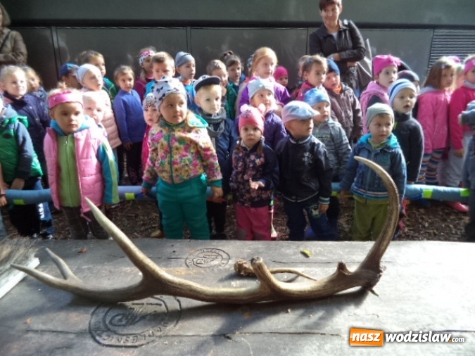 Zdjęcie w galerii na portalu naszwodzislaw.com: Przedszkole nr 2 w Pszowie promuje zdrowy tryb życia  wiadomości z regionu