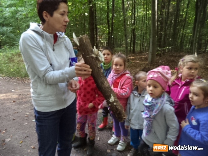 Zdjęcie w galerii na portalu naszwodzislaw.com: Przedszkole nr 2 w Pszowie promuje zdrowy tryb życia  wiadomości z regionu