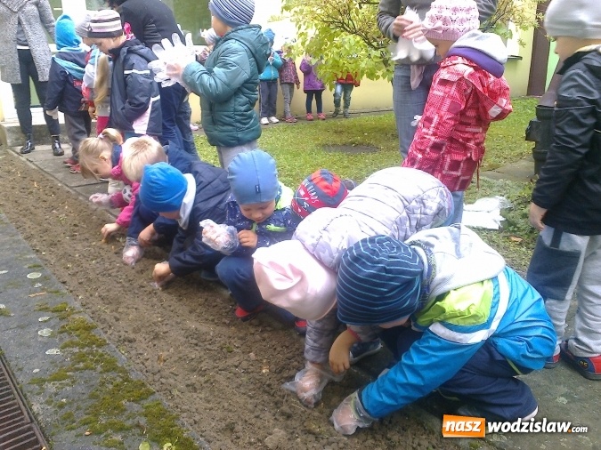 Zdjęcie w galerii na portalu naszwodzislaw.com: Wodzisławskie przedszkole nr 16 przyłączyło się do międzynarodowej akcji hospicyjnej wiadomości z regionu
