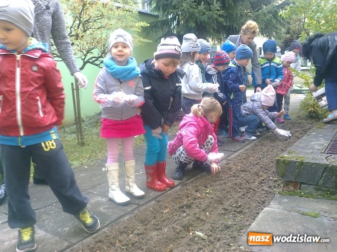 Zdjęcie w galerii na portalu naszwodzislaw.com: Wodzisławskie przedszkole nr 16 przyłączyło się do międzynarodowej akcji hospicyjnej wiadomości z regionu
