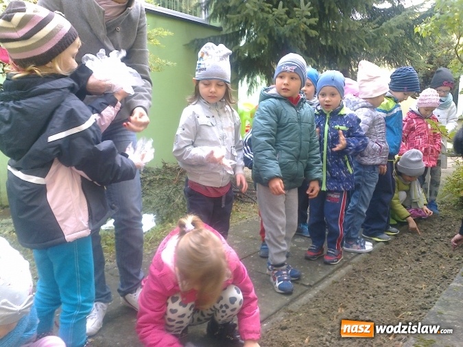 Zdjęcie w galerii na portalu naszwodzislaw.com: Wodzisławskie przedszkole nr 16 przyłączyło się do międzynarodowej akcji hospicyjnej wiadomości z regionu