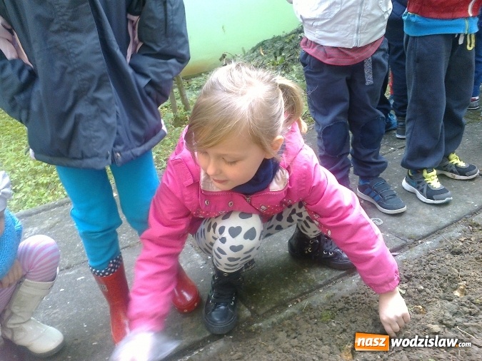 Zdjęcie w galerii na portalu naszwodzislaw.com: Wodzisławskie przedszkole nr 16 przyłączyło się do międzynarodowej akcji hospicyjnej wiadomości z regionu