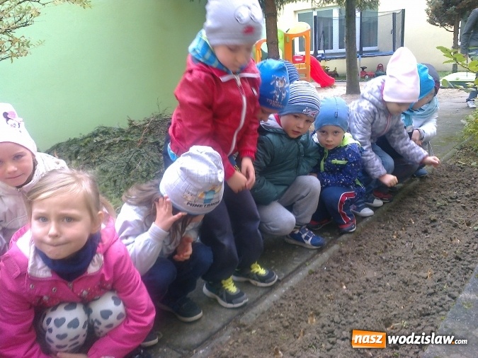 Zdjęcie w galerii na portalu naszwodzislaw.com: Wodzisławskie przedszkole nr 16 przyłączyło się do międzynarodowej akcji hospicyjnej wiadomości z regionu