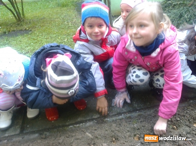 Zdjęcie w galerii na portalu naszwodzislaw.com: Wodzisławskie przedszkole nr 16 przyłączyło się do międzynarodowej akcji hospicyjnej wiadomości z regionu