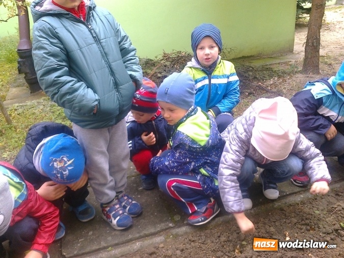 Zdjęcie w galerii na portalu naszwodzislaw.com: Wodzisławskie przedszkole nr 16 przyłączyło się do międzynarodowej akcji hospicyjnej wiadomości z regionu