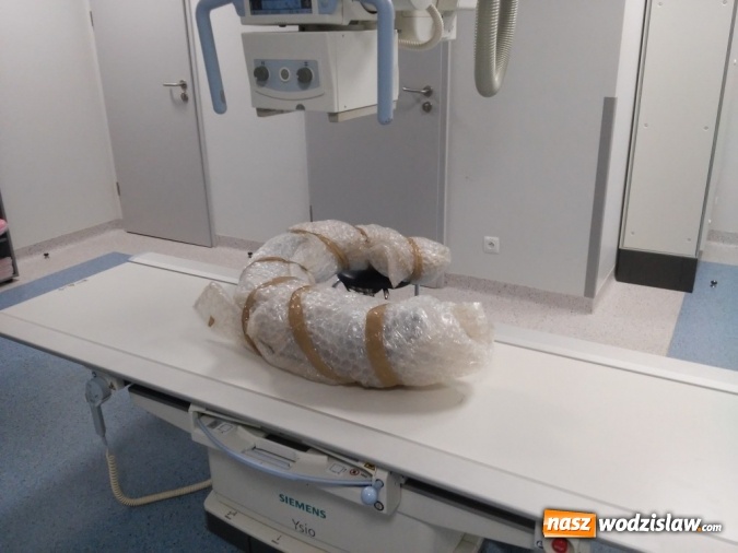 Zdjęcie w galerii na portalu naszwodzislaw.com: Wodzisławski cios mamuta w... szpitalu  wiadomości z regionu