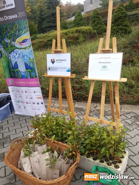 Zdjęcie w galerii na portalu naszwodzislaw.com: Święto Drzewa w Katowicach wiadomości z regionu