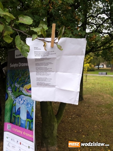 Zdjęcie w galerii na portalu naszwodzislaw.com: Święto Drzewa w Katowicach wiadomości z regionu