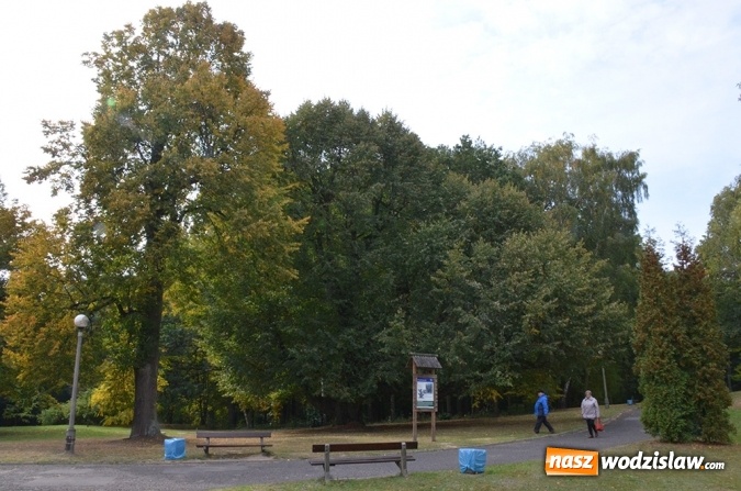 Zdjęcie w galerii na portalu naszwodzislaw.com: 100 milionów z Funduszu na ochronę różnorodności biologicznej wiadomości z regionu