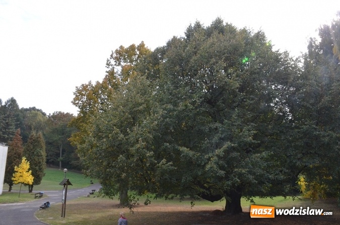 Zdjęcie w galerii na portalu naszwodzislaw.com: 100 milionów z Funduszu na ochronę różnorodności biologicznej wiadomości z regionu