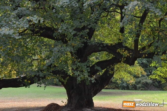 Zdjęcie w galerii na portalu naszwodzislaw.com: 100 milionów z Funduszu na ochronę różnorodności biologicznej wiadomości z regionu