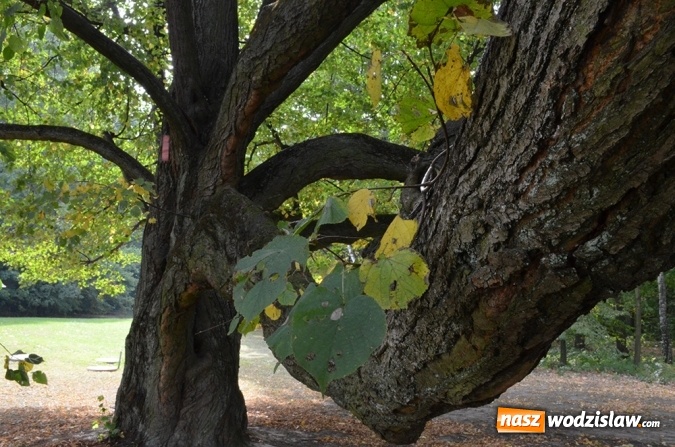 Zdjęcie w galerii na portalu naszwodzislaw.com: 100 milionów z Funduszu na ochronę różnorodności biologicznej wiadomości z regionu