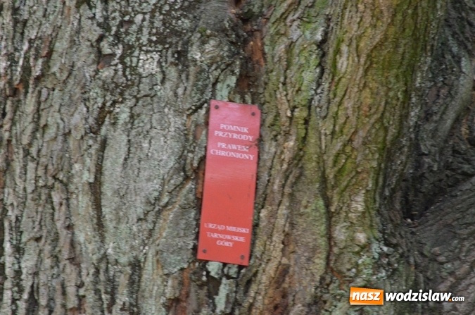 Zdjęcie w galerii na portalu naszwodzislaw.com: 100 milionów z Funduszu na ochronę różnorodności biologicznej wiadomości z regionu