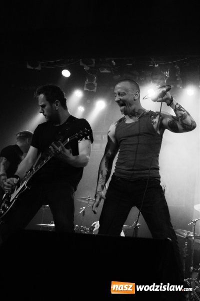 Zdjęcie w galerii na portalu naszwodzislaw.com: The Analogs i Farben Lehre na deskach pszowskiej sceny! wiadomości z regionu