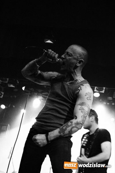 Zdjęcie w galerii na portalu naszwodzislaw.com: The Analogs i Farben Lehre na deskach pszowskiej sceny! wiadomości z regionu