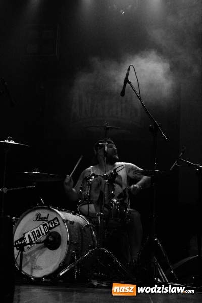 Zdjęcie w galerii na portalu naszwodzislaw.com: The Analogs i Farben Lehre na deskach pszowskiej sceny! wiadomości z regionu