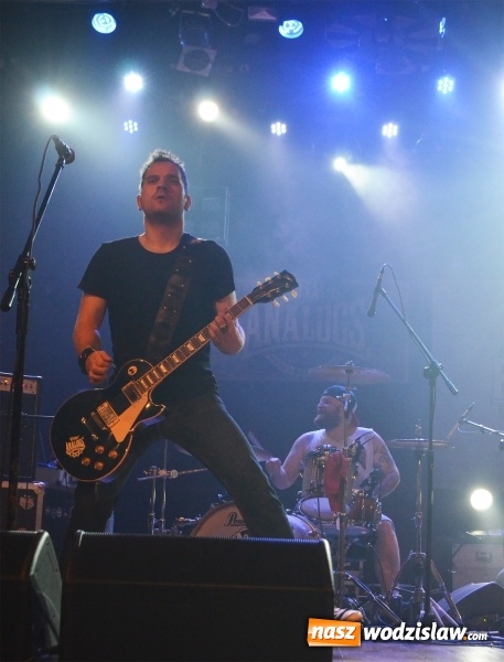 Zdjęcie w galerii na portalu naszwodzislaw.com: The Analogs i Farben Lehre na deskach pszowskiej sceny! wiadomości z regionu