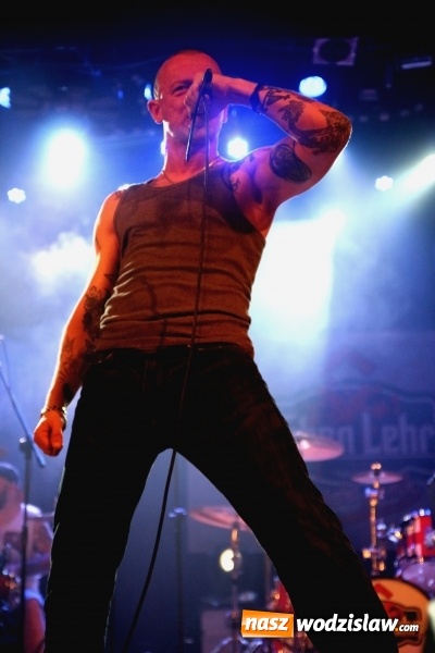 Zdjęcie w galerii na portalu naszwodzislaw.com: The Analogs i Farben Lehre na deskach pszowskiej sceny! wiadomości z regionu