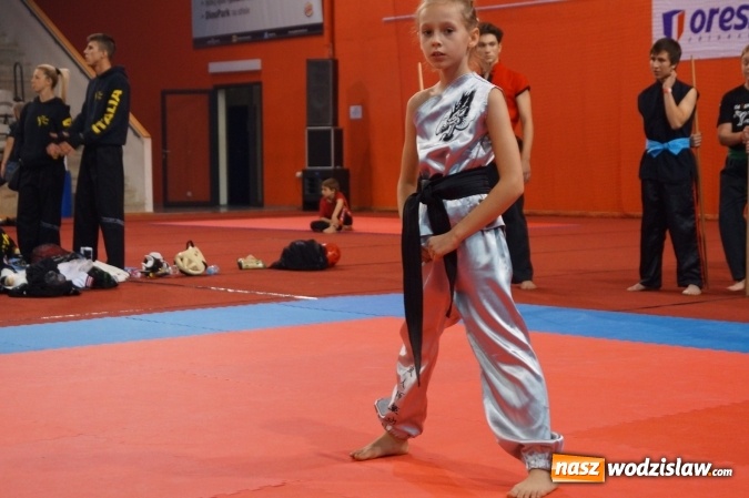 Zdjęcie w galerii na portalu naszwodzislaw.com: Wspaniały występ młodych wojowników FC RONIN w czeskiej Pradze  wiadomości z regionu