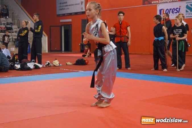 Zdjęcie w galerii na portalu naszwodzislaw.com: Wspaniały występ młodych wojowników FC RONIN w czeskiej Pradze  wiadomości z regionu