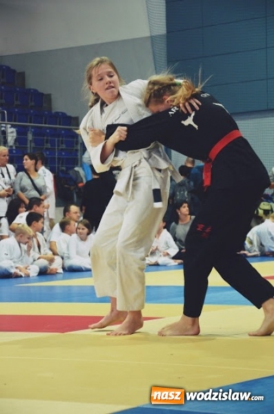 Zdjęcie w galerii na portalu naszwodzislaw.com: 6 medali trafiło do najmłodszych adept&oacute;w wodzisławskiego klubu Octagon Team wiadomości z regionu