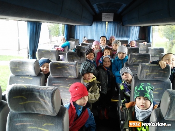 Zdjęcie w galerii na portalu naszwodzislaw.com: Wycieczka do jesiennego lasu dzieci z przedszkola nr 1 w Pszowie  wiadomości z regionu