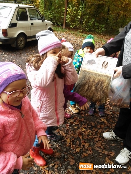 Zdjęcie w galerii na portalu naszwodzislaw.com: Wycieczka do jesiennego lasu dzieci z przedszkola nr 1 w Pszowie  wiadomości z regionu