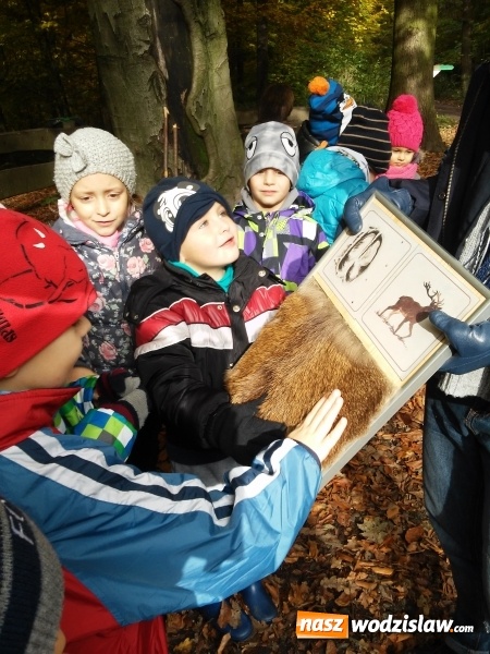 Zdjęcie w galerii na portalu naszwodzislaw.com: Wycieczka do jesiennego lasu dzieci z przedszkola nr 1 w Pszowie  wiadomości z regionu