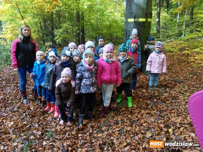 Zdjęcie w galerii na portalu naszwodzislaw.com: Wycieczka do jesiennego lasu dzieci z przedszkola nr 1 w Pszowie  wiadomości z regionu