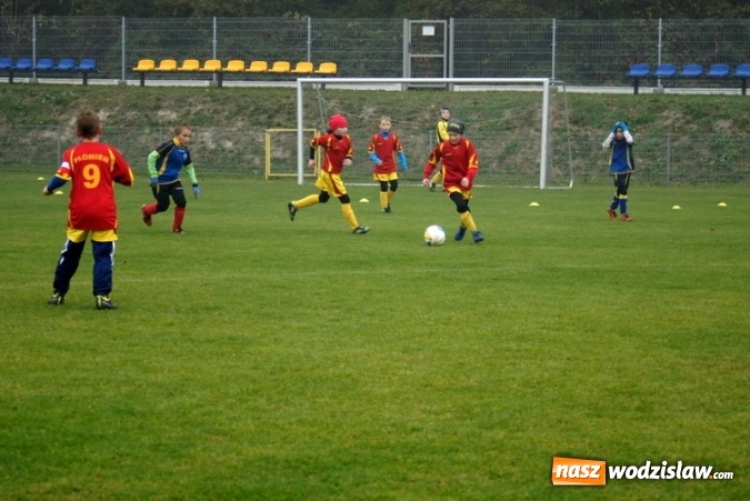 Zdjęcie w galerii na portalu naszwodzislaw.com: 