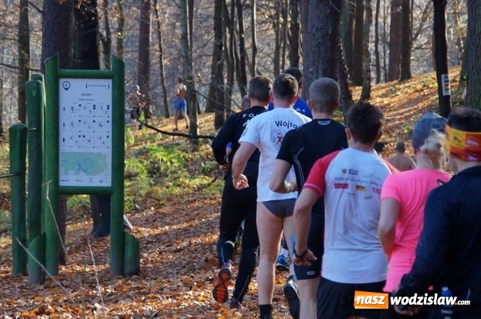 Zdjęcie w galerii na portalu naszwodzislaw.com: Morsowanie na Balatonie oficjalne rozpoczęte  wiadomości z regionu