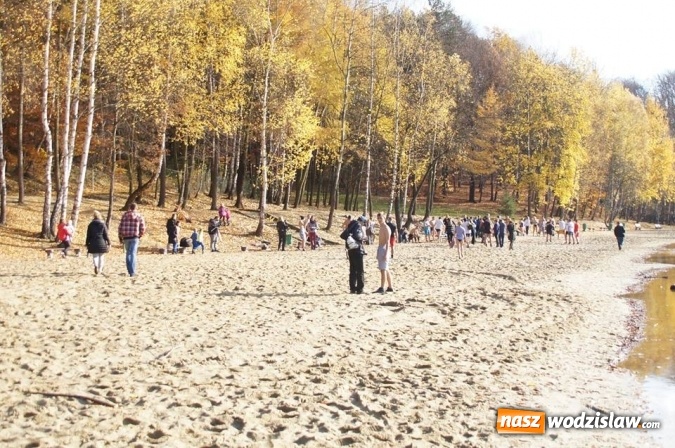 Zdjęcie w galerii na portalu naszwodzislaw.com: Morsowanie na Balatonie oficjalne rozpoczęte  wiadomości z regionu