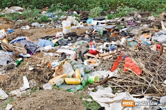 Zdjęcie w galerii na portalu naszwodzislaw.com: LocalSpot i Fundacja BOŚ nawiązują współpracę. Zgłaszanie dzikich wysypisk śmieci jeszcze prostsze wiadomości z regionu