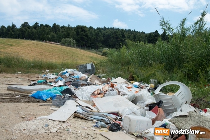 Zdjęcie w galerii na portalu naszwodzislaw.com: LocalSpot i Fundacja BOŚ nawiązują współpracę. Zgłaszanie dzikich wysypisk śmieci jeszcze prostsze wiadomości z regionu