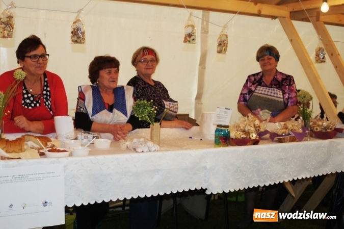 Zdjęcie w galerii na portalu naszwodzislaw.com: Mszańskie Smaki Jesieni - zobaczcie, jak udała się impreza w parku  wiadomości z regionu