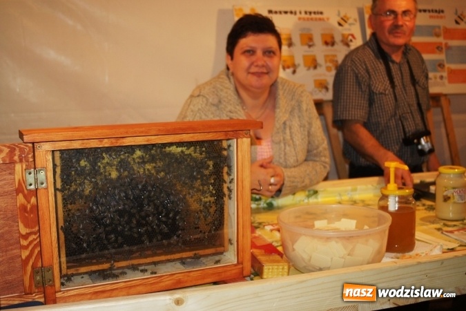 Zdjęcie w galerii na portalu naszwodzislaw.com: Mszańskie Smaki Jesieni - zobaczcie, jak udała się impreza w parku  wiadomości z regionu