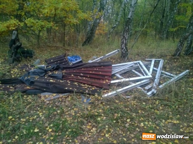 Zdjęcie w galerii na portalu naszwodzislaw.com:  Wzrosła ilość dzikich wysypisk   wiadomości z regionu