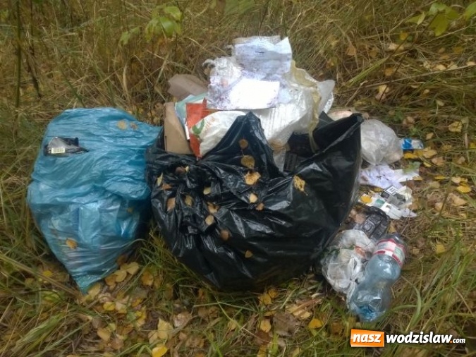 Zdjęcie w galerii na portalu naszwodzislaw.com:  Wzrosła ilość dzikich wysypisk   wiadomości z regionu