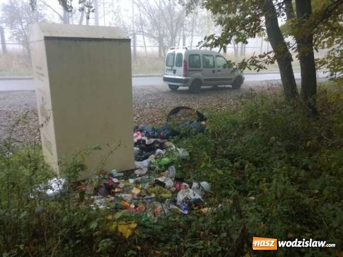 Zdjęcie w galerii na portalu naszwodzislaw.com:  Wzrosła ilość dzikich wysypisk   wiadomości z regionu