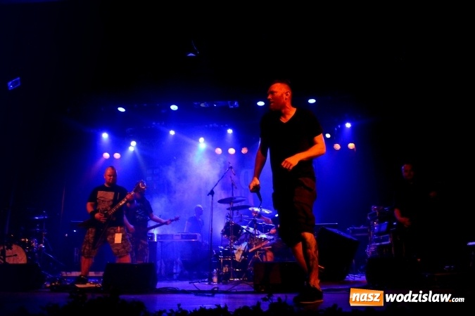 Zdjęcie w galerii na portalu naszwodzislaw.com: XI edycja popularnego festiwalu 