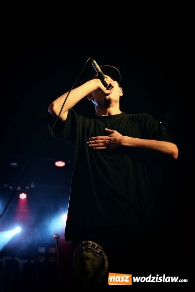 Zdjęcie w galerii na portalu naszwodzislaw.com: XI edycja popularnego festiwalu 