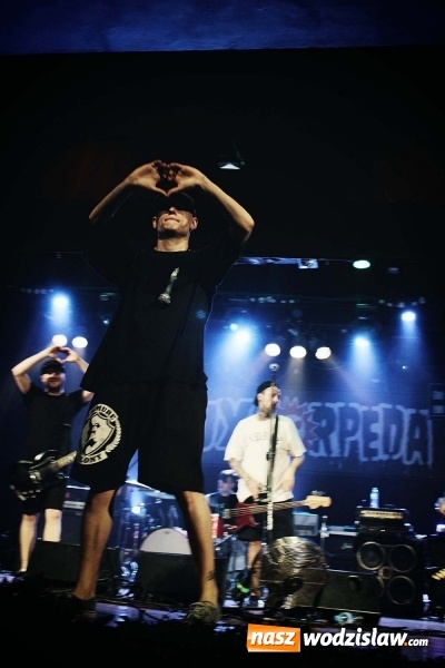 Zdjęcie w galerii na portalu naszwodzislaw.com: XI edycja popularnego festiwalu 