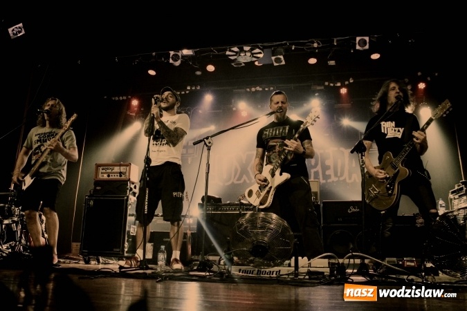 Zdjęcie w galerii na portalu naszwodzislaw.com: XI edycja popularnego festiwalu 